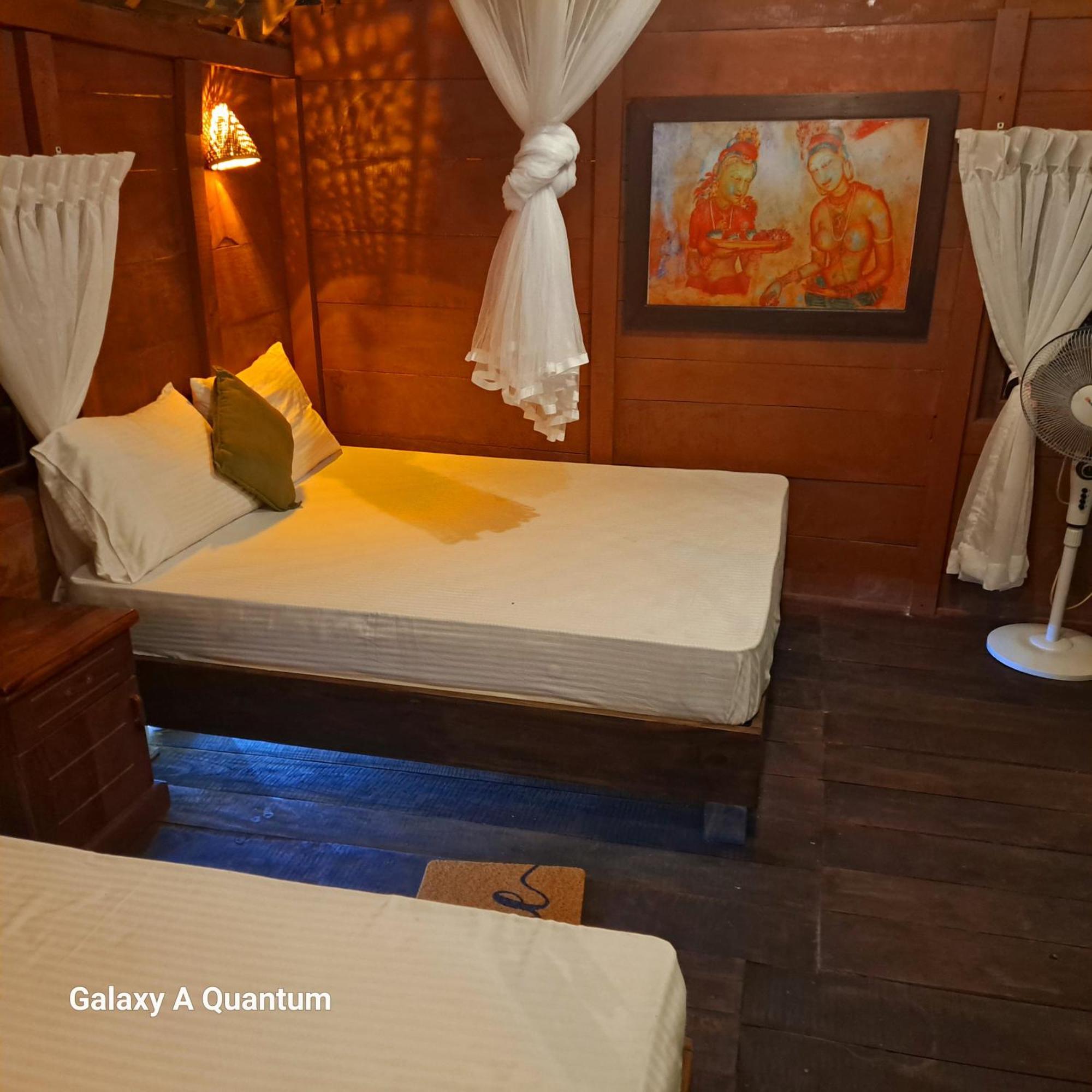 Bed&Bicycle Hostel Dambulla Dış mekan fotoğraf